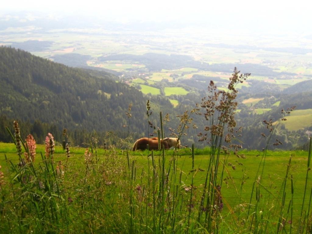 Alpenhotel Ozon Wolfgruber Wolfsberg Kamer foto