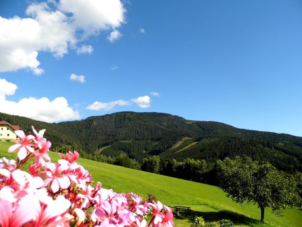 Alpenhotel Ozon Wolfgruber Wolfsberg Kamer foto